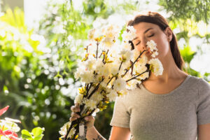 Renovação da Primavera: O Poder Transformador do Equinócio